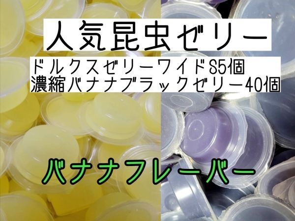人気昆虫ゼリー ドルクスゼリーワイドS16g 5個 濃縮バナナブラックゼリー40個 カブトムシ クワガタ ハムスター フクロモモンガ ハリネズミ