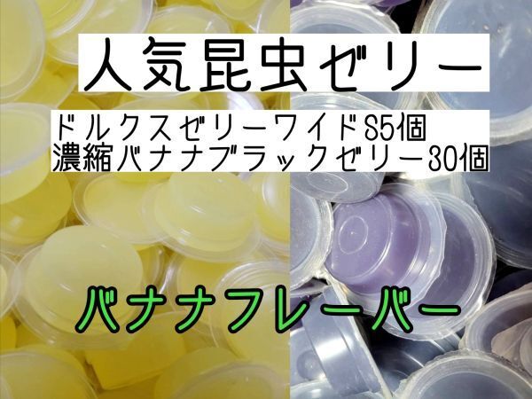 人気昆虫ゼリー ドルクスゼリーワイドS16g 5個 濃縮バナナブラックゼリー30個 カブトムシ クワガタ ハムスター フクロモモンガ ハリネズミ