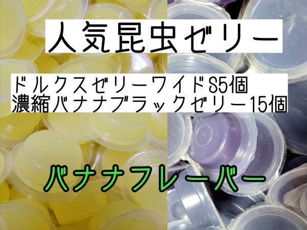 人気昆虫ゼリー ドルクスゼリーワイドS16g 5個 濃縮バナナブラックゼリー15個 カブトムシ クワガタ ハムスター フクロモモンガ ハリネズミ