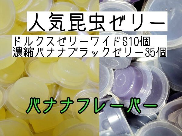 人気昆虫ゼリー ドルクスゼリーワイドS16g 10個 濃縮バナナブラックゼリー35個 カブトムシ クワガタ ハムスター フクロモモンガ ハリネズミ