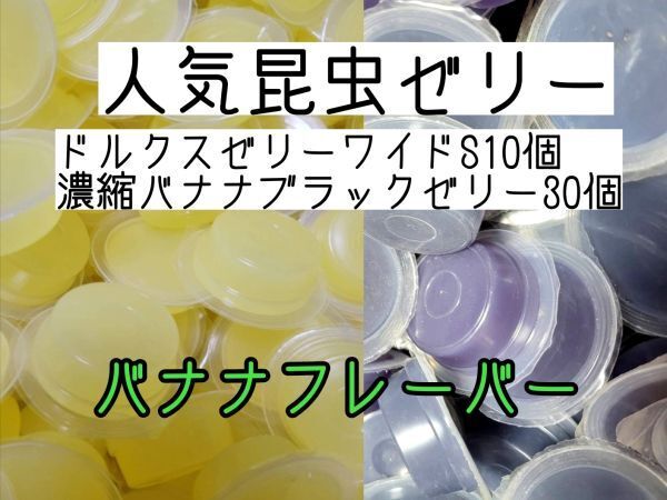 人気昆虫ゼリー ドルクスゼリーワイドS16g 10個 濃縮バナナブラックゼリー30個 カブトムシ クワガタ ハムスター フクロモモンガ ハリネズミ