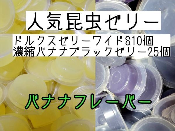 人気昆虫ゼリー ドルクスゼリーワイドS16g 10個 濃縮バナナブラックゼリー25個 カブトムシ クワガタ ハムスター フクロモモンガ ハリネズミ
