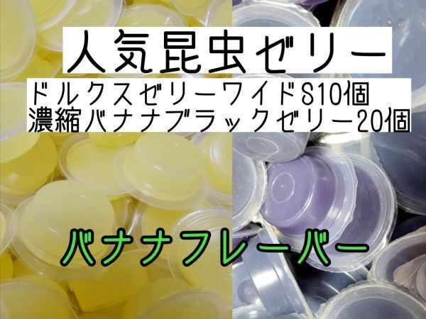 人気昆虫ゼリー ドルクスゼリーワイドS16g 10個 濃縮バナナブラックゼリー20個 カブトムシ クワガタ ハムスター フクロモモンガ ハリネズミ