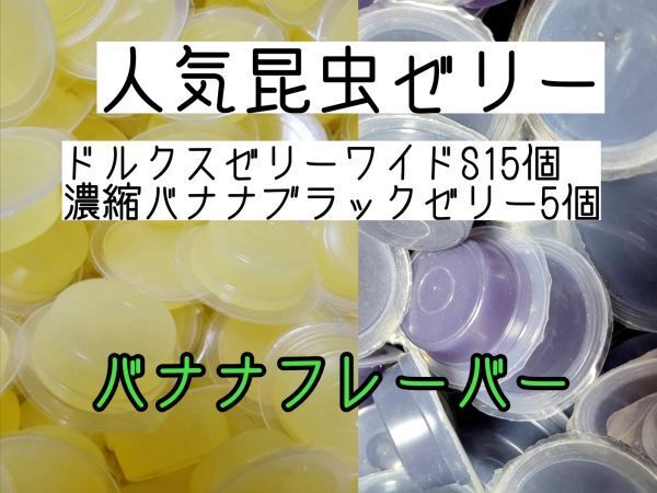 人気昆虫ゼリー ドルクスゼリーワイドS16g 15個 濃縮バナナブラックゼリー5個 カブトムシ クワガタ ハムスター フクロモモンガ ハリネズミ