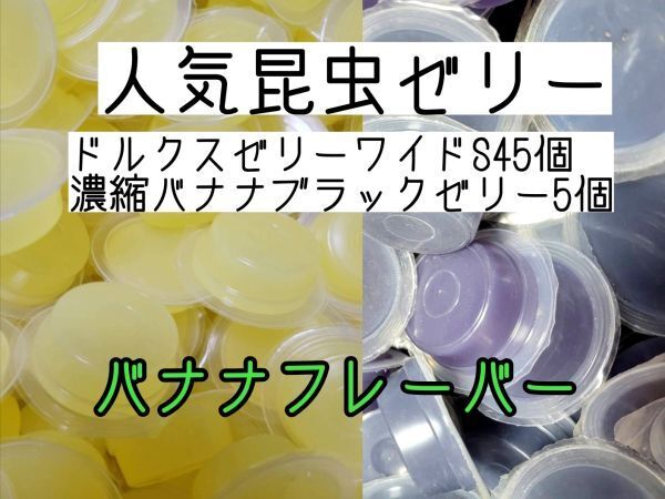 人気昆虫ゼリー ドルクスゼリーワイドS16g 45個 濃縮バナナブラックゼリー5個 カブトムシ クワガタ ハムスター フクロモモンガ ハリネズミ