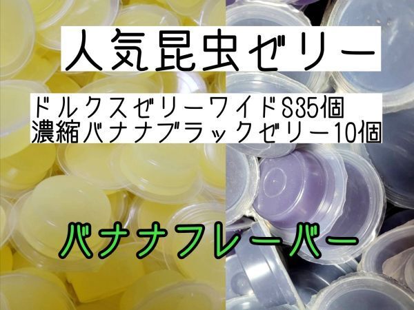 人気昆虫ゼリー ドルクスゼリーワイドS16g 35個 濃縮バナナブラックゼリー10個 カブトムシ クワガタ ハムスター フクロモモンガ ハリネズミ