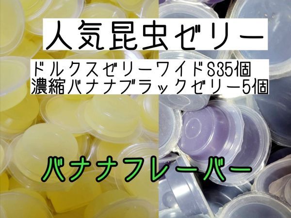 人気昆虫ゼリー ドルクスゼリーワイドS16g 35個 濃縮バナナブラックゼリー5個 カブトムシ クワガタ ハムスター フクロモモンガ ハリネズミ