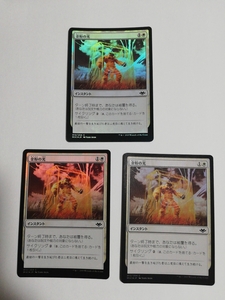 MTG マジックザギャザリング 金粉の光 foil 日本語版 3枚セット