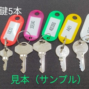 合鍵5本、ALPHA、SOL、南京錠(★22種類の同一キーから5本自由に選択可) 同一キー カギ アルファ、ソル【ネコポス配送 ヤフオク!専用】