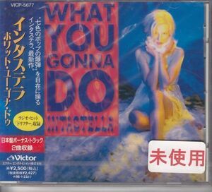 INTASTELLA - What You Gonna Do+2 /インタステラ/オルタナティブ・ロック/国内盤/未開封/CD