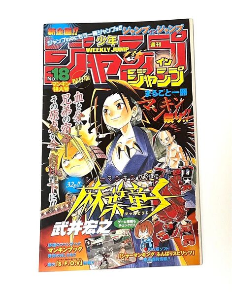 シャーマンキング外伝 麻葉童子冊子