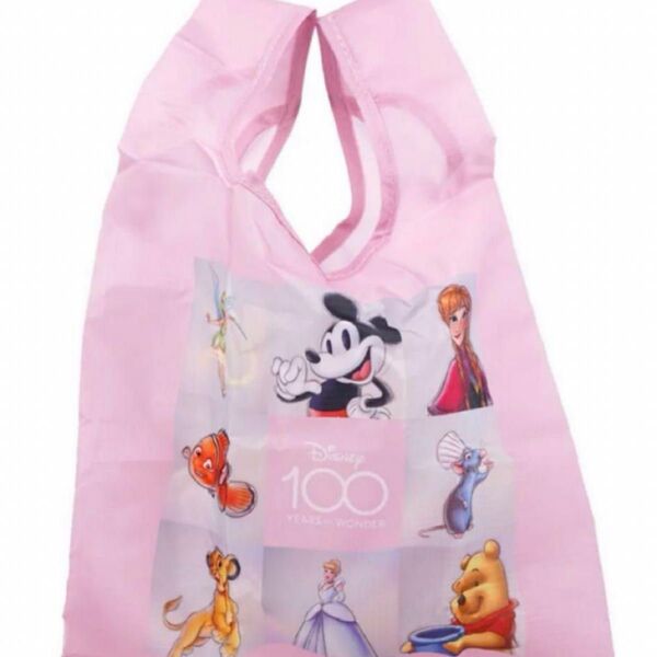 ディズニー100周年限定ECOBAG BOOK宝島社