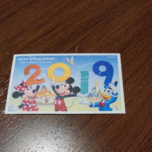 東京ディズニーランド 東京ディズニーリゾート 使用済みパスポート 期限切れ