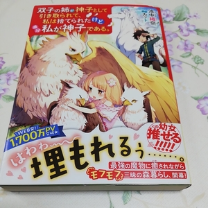 双子の姉が神子として引き取られて、私は捨てられたけど多分私が神子である。 池中織奈　クリックポスト