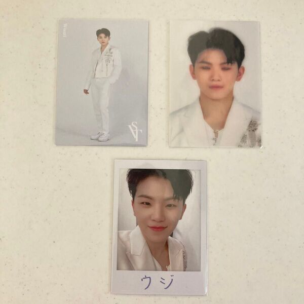 SEVENTEEN 2020 JAPAN DOME TOURトレカ ウジ