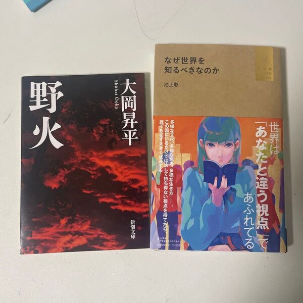 読書感想文の本 しっかり2つ売ります