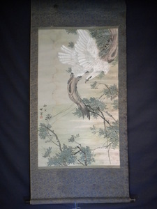 Art hand Auction [Authentic] Hanging scroll, Senei, Maple and White Eagle, China, Painting, Japanese painting, Flowers and Birds, Wildlife