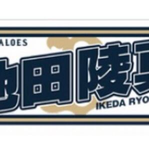 池田陵真 Buffaloes2024応援タオル