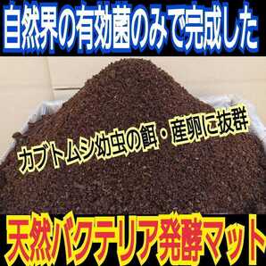 オオヒラタケ菌床天然発酵カブトムシマット(50L)自然界のバクテリアのみで完成しました! 天然に近い環境で幼虫を飼育したい方にお薦め