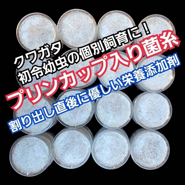 特選!最強の菌糸プリンカップ120ml【8個セット】初令、2令幼虫専用栄養添加剤配合! オオクワガタ、ニジイロ、ヒラタ、ノコギリに抜群!