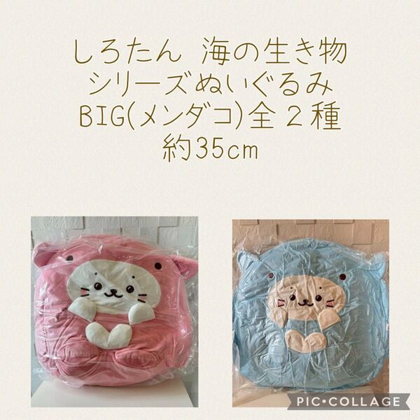 しろたん 海の生き物シリーズぬいぐるみBIG(メンダコ)全2種 約35cm