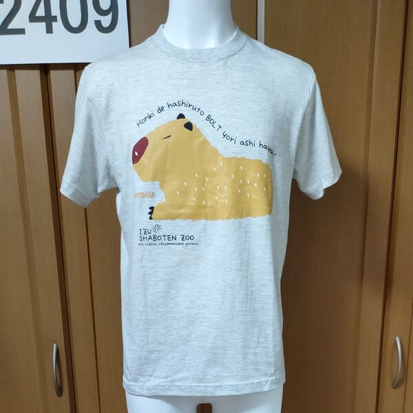 伊豆シャボテン公園【カピバラ】美品/半袖Tシャツ メンズS/女性の方もどうぞ! 本気で走るとボルトより足速い! と書かれています♪
