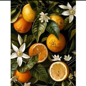 【No.1】ダイヤモンドアート☆スターターキット☆オレンジ☆フルーツ☆飾れるインテリア趣味DIY1