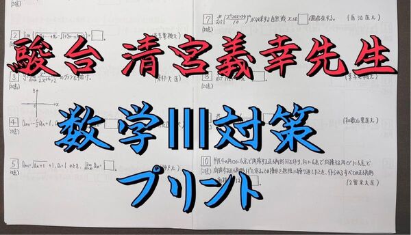 駿台 2024年 最新版 清宮義幸先生 数学Ⅲ対策プリント 東大受験 医学部受験 河合塾 駿台 代ゼミ 東進 Z会 鉄緑会
