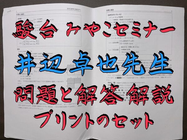 駿台 みやこセミナー京大コース 井辺卓也先生 プリント集 河合塾 東大 東進 代ゼミ 鉄緑会 東大 共通テスト