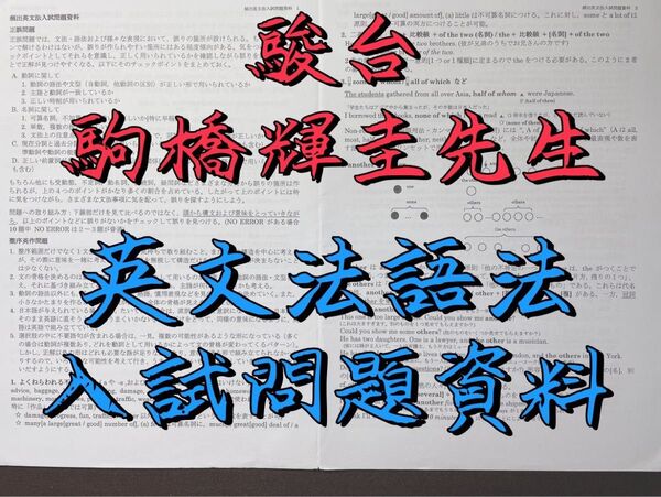 駿台 駒橋輝圭 英文法語法資料プリント 河合塾 鉄緑会 代ゼミ 東進 共通テスト Z会 SEG 東大 医学部