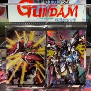 イタジャガ ガンダム マイティーストライクフリーダムガンダム ズゴック