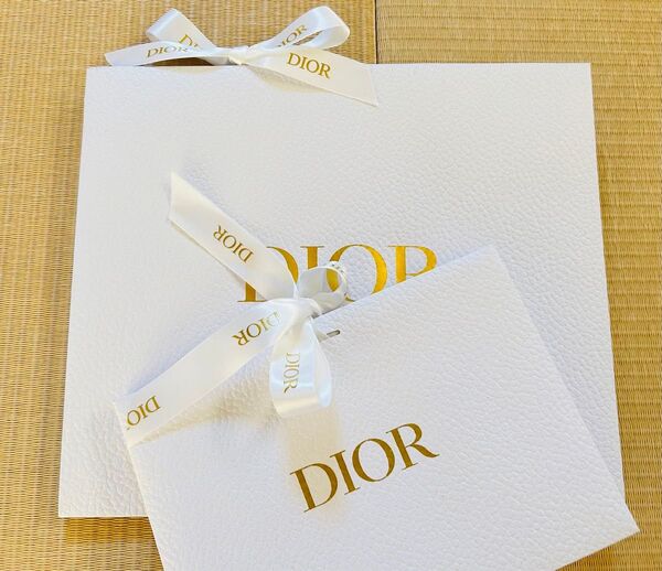新品未使用 Dior ディオール ショッパー+ギフトラッピング 紙袋 クリスチャンディオール