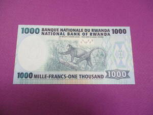 アフリカ・ルワンダ共和国　１０００フラン未使用紙幣　２００４年版　P３１