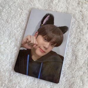 ZEROBASEONE ZB1 youth in the shade makestar特典 猫耳トレカ ギュビン