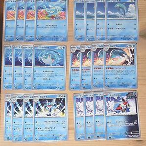 M59 ナミイルカ イルカマン 進化ライン ポケモンカード ポケカ