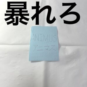 ANIMUS アニマス ※メモ用紙に書いた私の美字とアドバイス(Xbox One、Steam、Switch対応可)