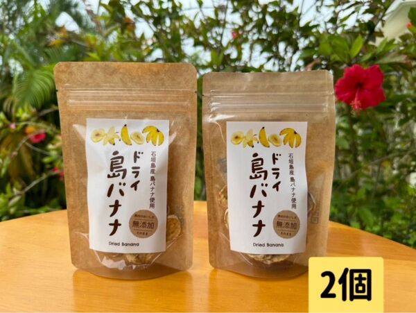 石垣島産 島バナナドライフルーツ(30g)×2個