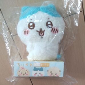 ぴたれすと ハチワレ