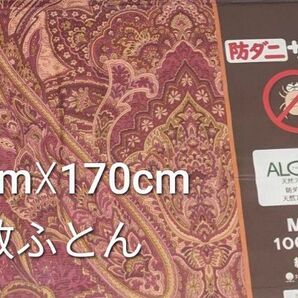 手づくりコットンお昼寝敷ふとん(防ダニ)内閣総理大臣賞受賞