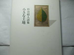杉谷昭人詩集　小さな土地　鉱脈社　2000年10月　珠玉の詩がならぶが、「田代」など特に胸をうつ。
