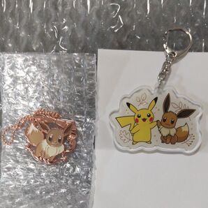 ポケモン イーブイ セット