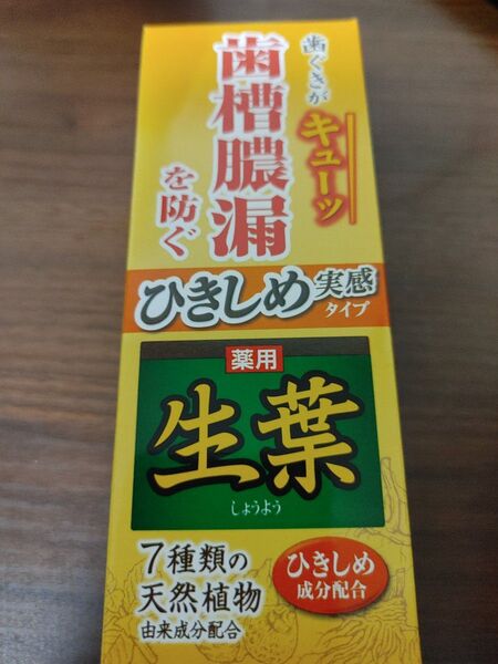 ひきしめ生葉(しょうよう) 歯槽膿漏を防ぐ 薬用ハミガキ