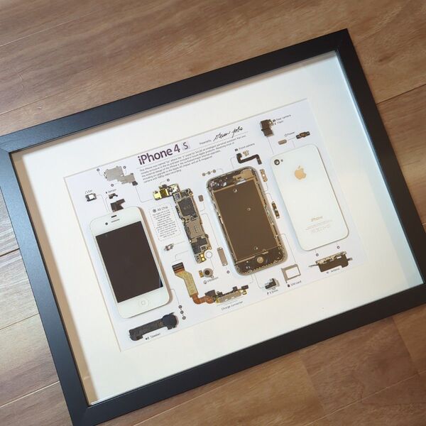 iPhone4s ホワイト 標本アート A3額縁