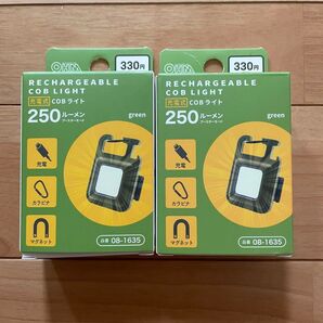 ダイソー 充電式cobライト 250ルーメン 2個セット グリーン