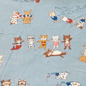 50cm ねこサマー funny cats ブルー 水色 海 ファニーキャット