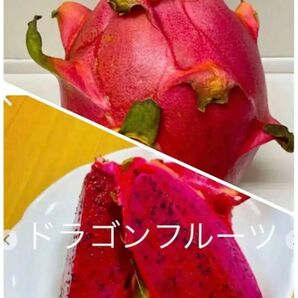 赤ドラゴンフルーツの種35粒