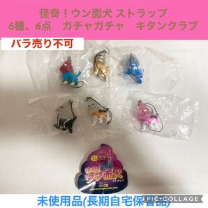怪奇! ウン面犬 ストラップ 6種 6点 ガチャガチャ キタンクラブ フィギュア レトロ ミニチュア レア 希少品