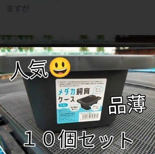 新品10個セット オーバーフロー機能が標準装備 売り切れ続出 メダカ容器
