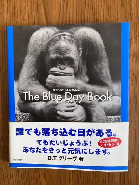 ザ ブルーデイブック BTグルーヴ著 写真集 ポエム