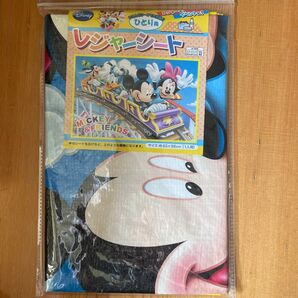 レジャーシート 1人用